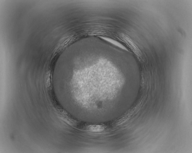 X0000115540169200911201747