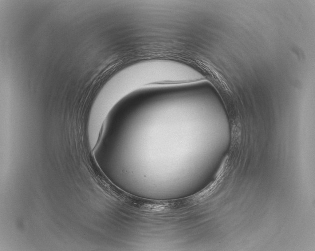 X0000115540170200911201747