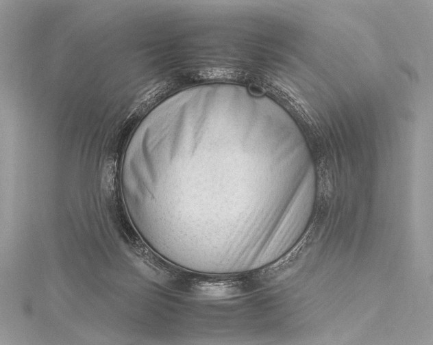 X0000115540171200911201747