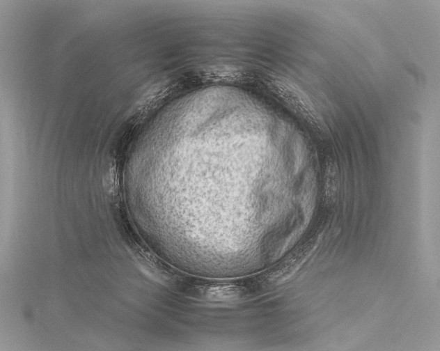 X0000115540173200911201747