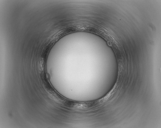 X0000115540174200911201747