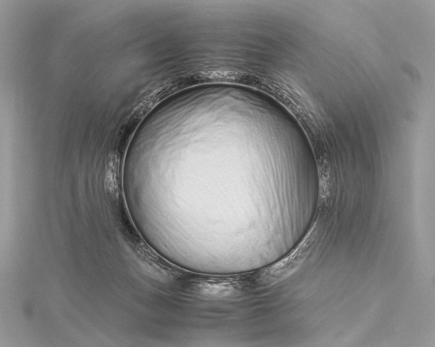 X0000115540175200911201747