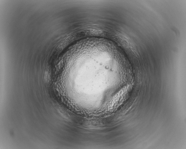 X0000115540177200911201747