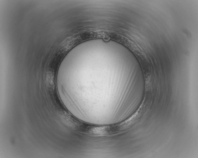 X0000115540178200911201747