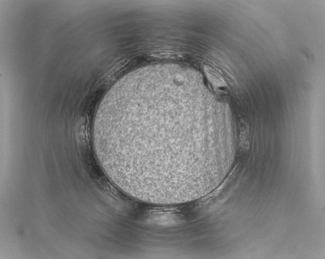 X0000115540179200911201747