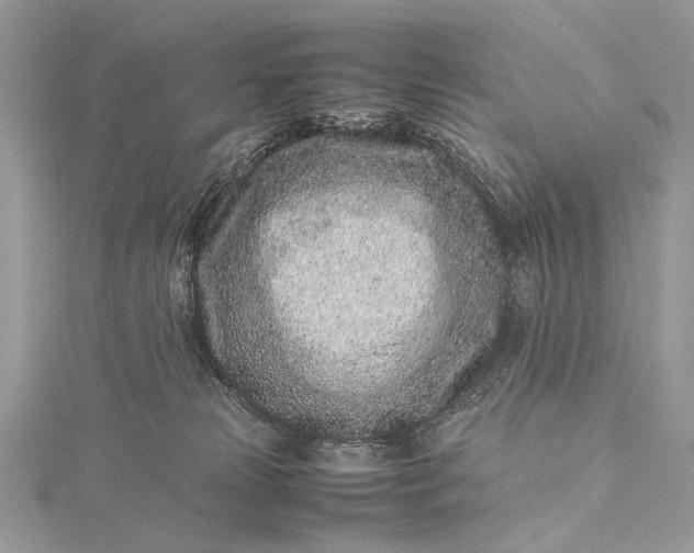 X0000115540181200911201747