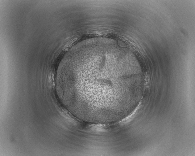 X0000115540182200911201747