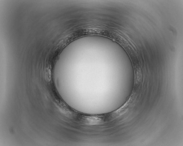 X0000115540183200911201747