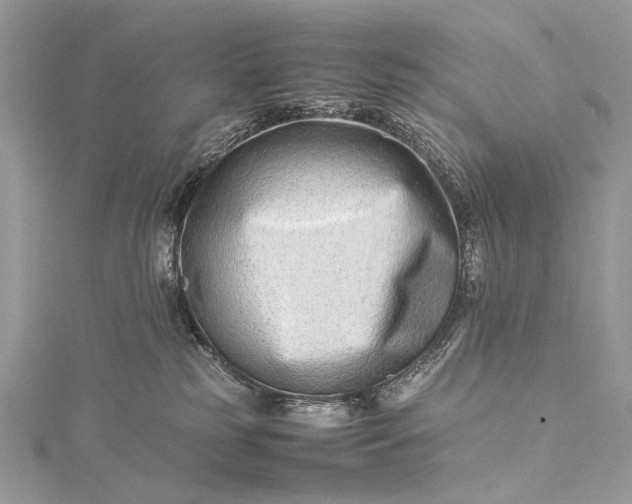 X0000115540185200911201747