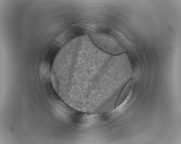 X0000115540186200911201747