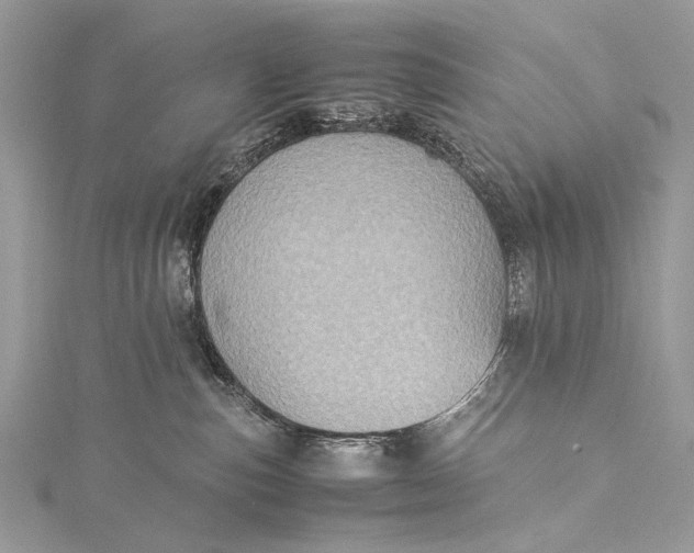 X0000115540187200911201747