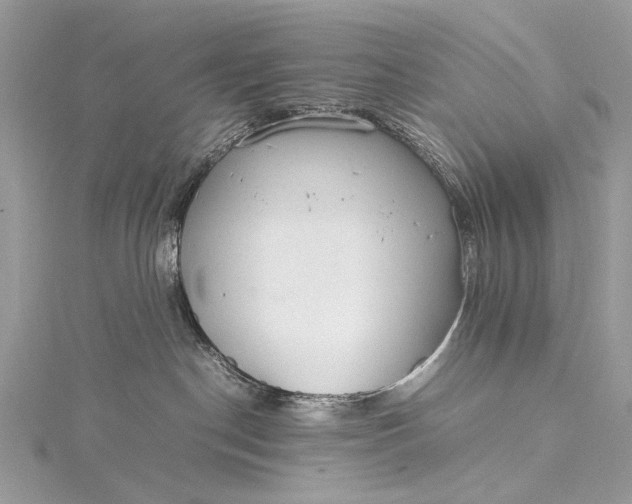 X0000115540190200911201747