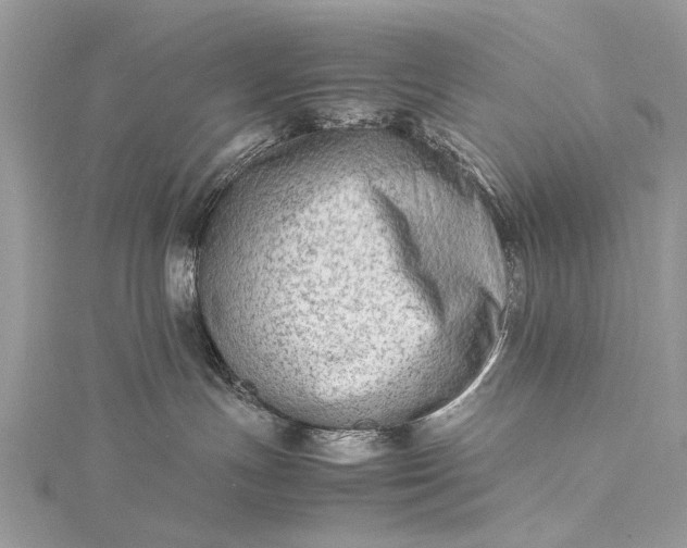 X0000115540191200911201747