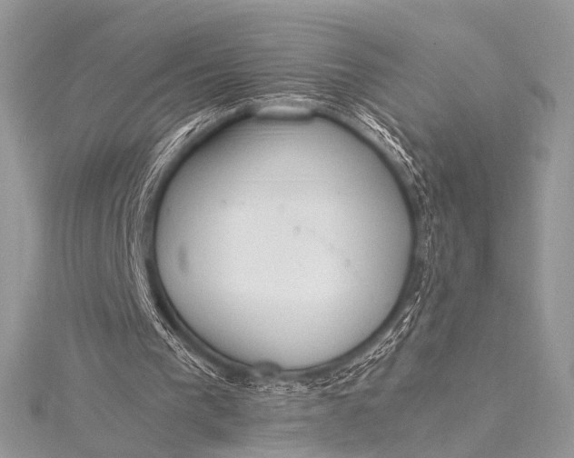 X0000115540193200911201747