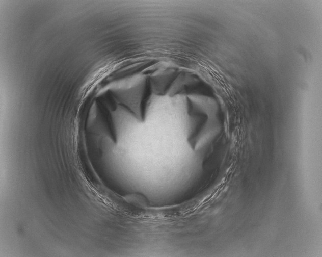 X0000115540194200911201747