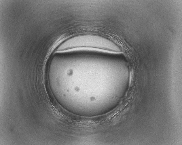 X0000115540195200911201747