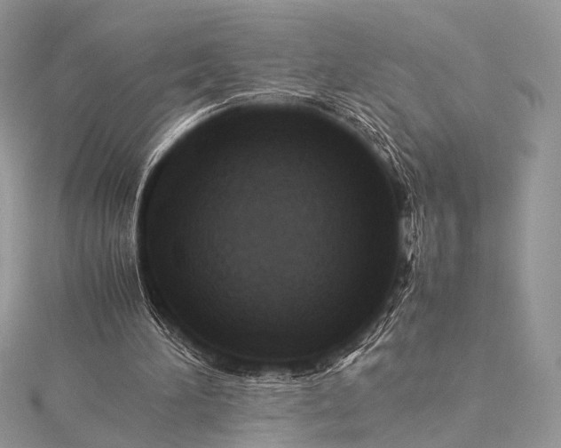 X0000115540196200911201747