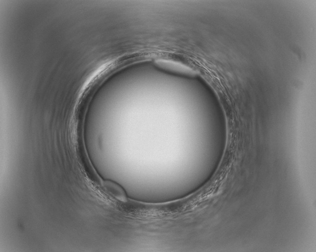 X0000115540197200911201747