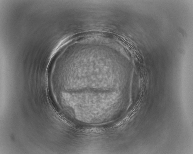 X0000115540198200911201747