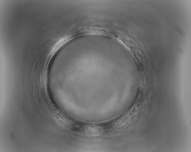 X0000115540199200911201747