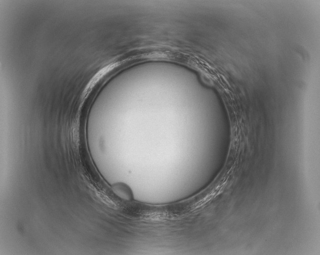 X0000115540200200911201747