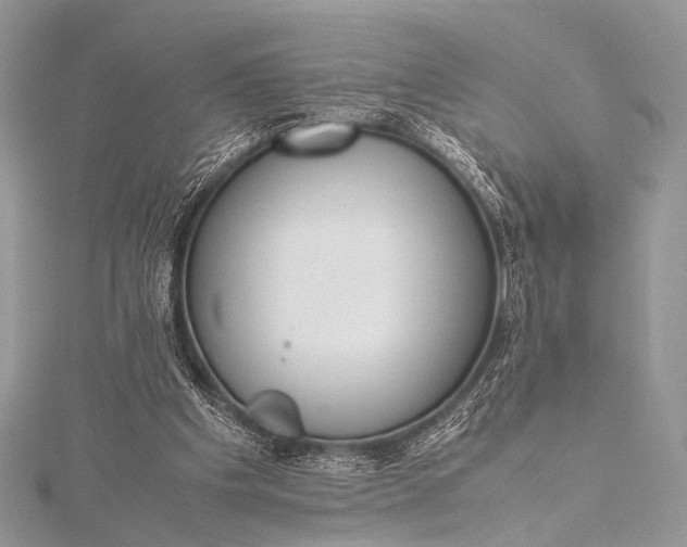 X0000115540201200911201747