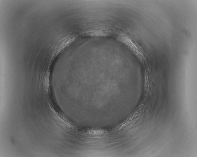 X0000115540202200911201747