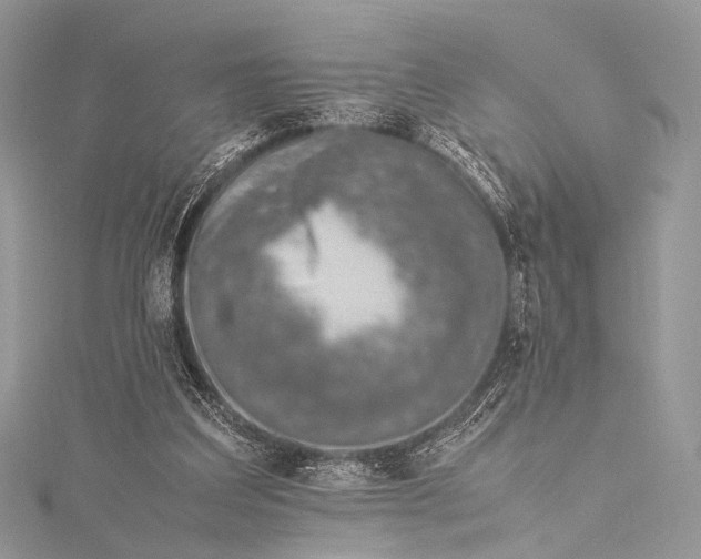 X0000115540203200911201747