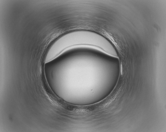 X0000115540205200911201747