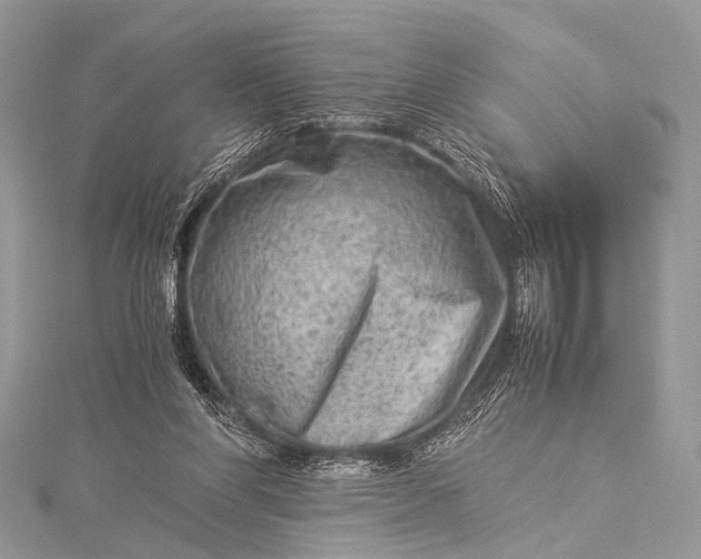 X0000115540206200911201747