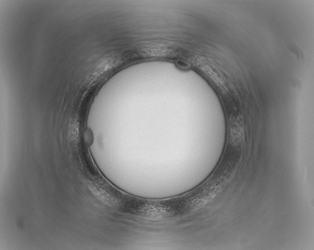 X0000115540207200911201747