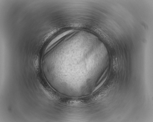 X0000115540208200911201746