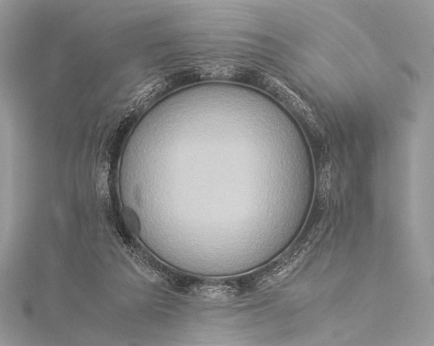 X0000115540209200911201746