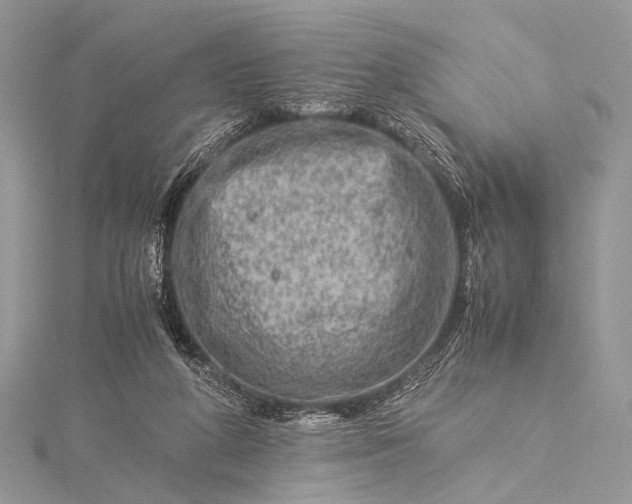 X0000115540210200911201746