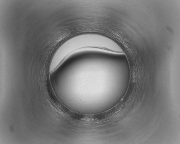 X0000115540211200911201746