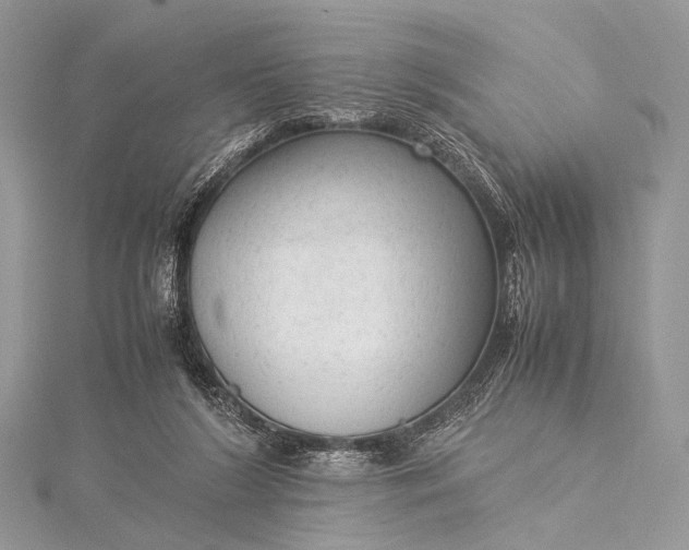 X0000115540212200911201746