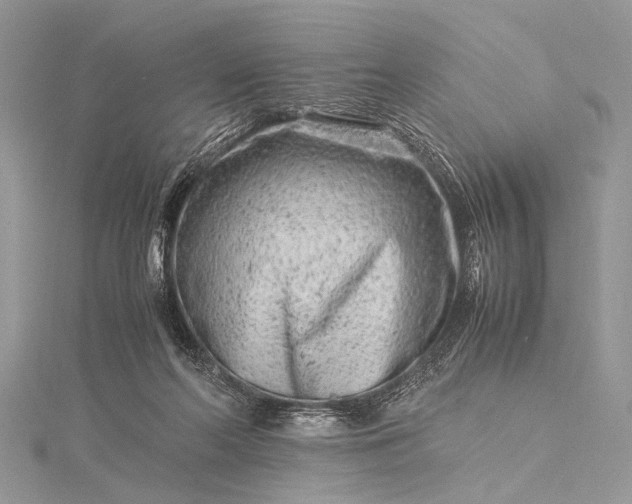 X0000115540214200911201746