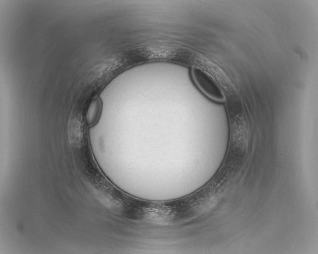 X0000115540215200911201746