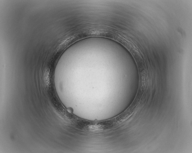 X0000115540216200911201746