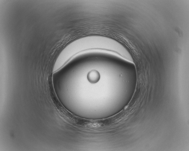 X0000115540217200911201746