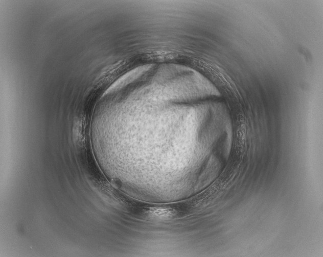 X0000115540218200911201746