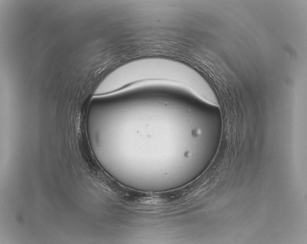 X0000115540219200911201746