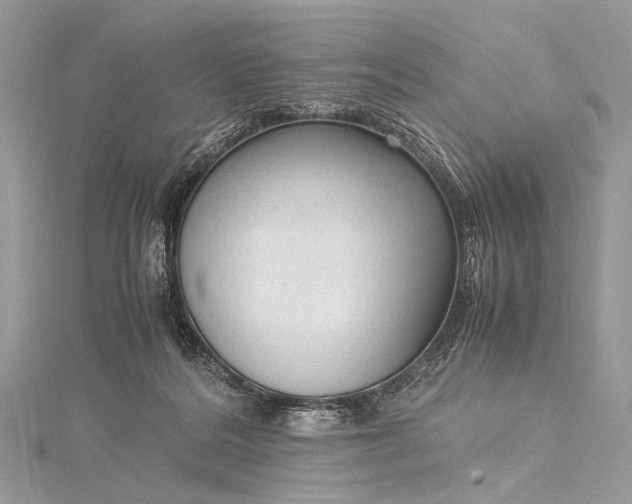 X0000115540220200911201746