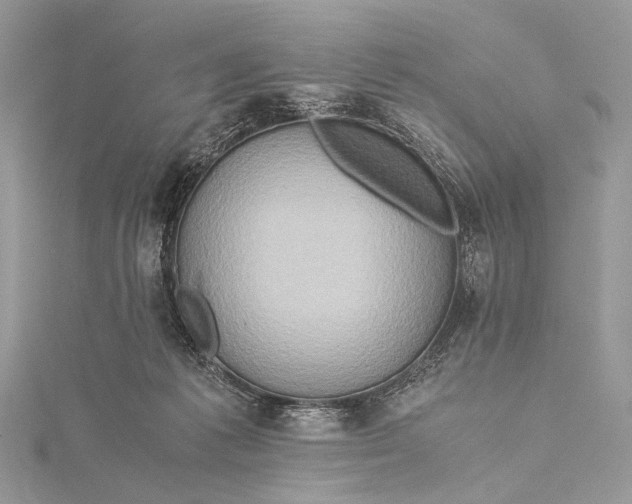 X0000115540221200911201746