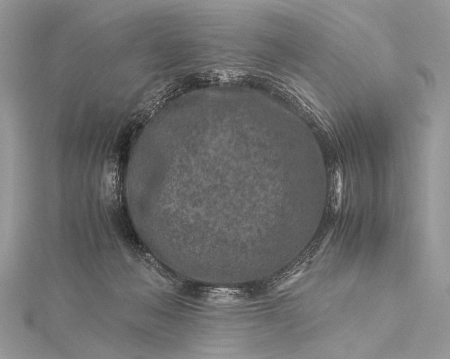 X0000115540222200911201746