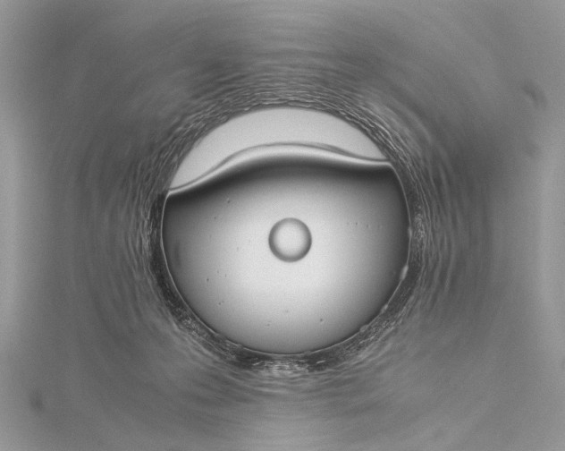 X0000115540223200911201746