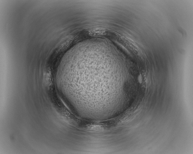 X0000115540224200911201746