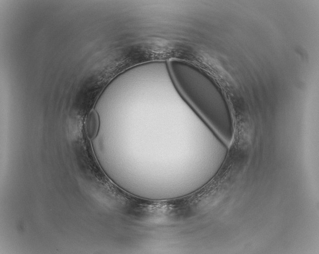 X0000115540225200911201746