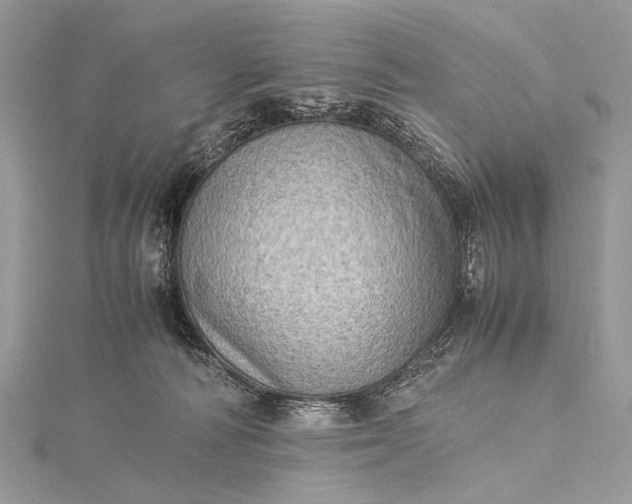 X0000115540226200911201746