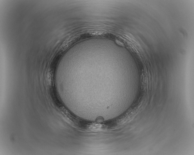 X0000115540227200911201746